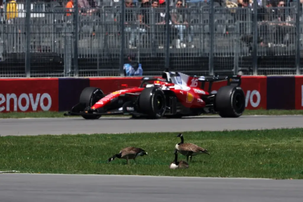 GP do Canadá 2026, Montreal, Fórmula 1, F1