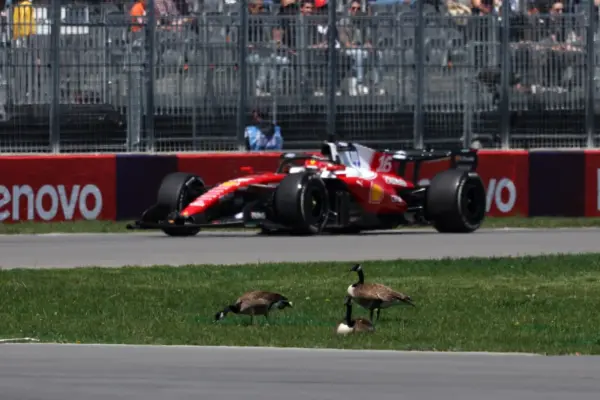 F1: Leclerc struggles with tires and criticizes performance in qualifying at the Canadian GP