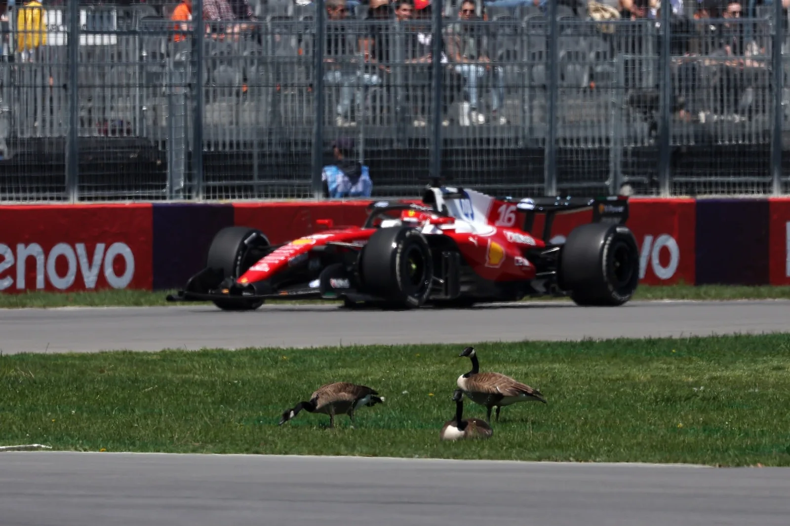 F1: Monaco can reduce Mercedes' advantage and favor Ferrari